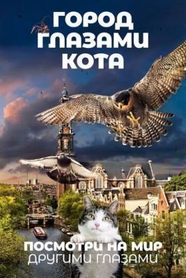 Город глазами кота (2018) скачать торрент